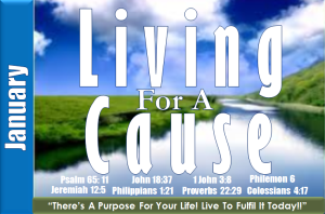 January_2013_Theme_002