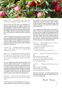 The Orchard2